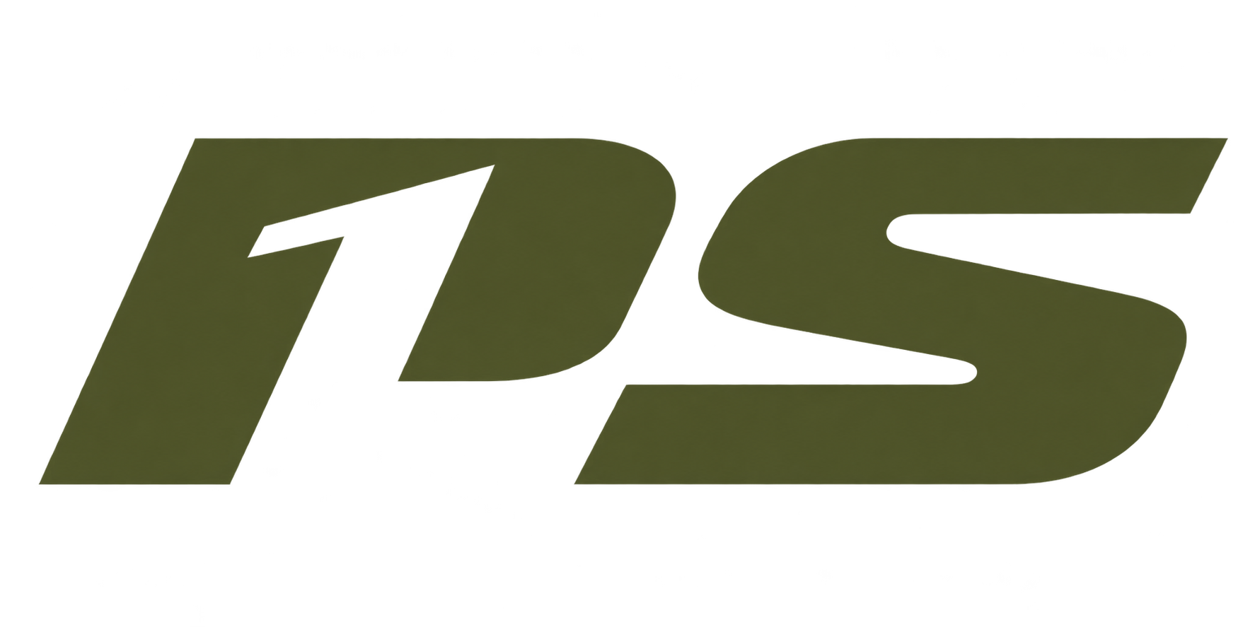 P1S